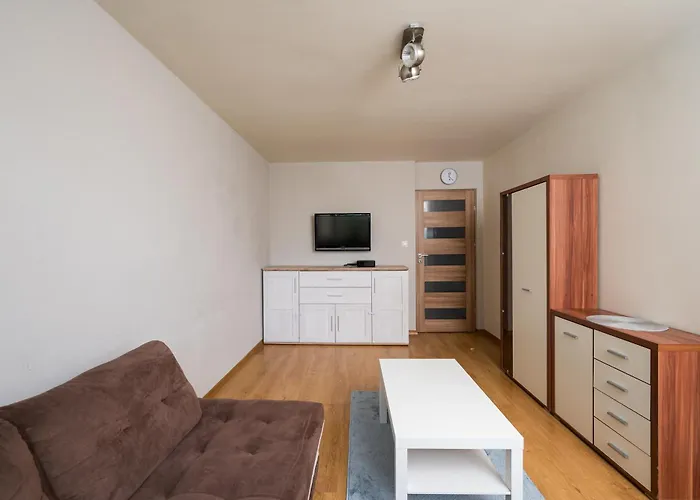 Olszowa 8 By The River Apartment